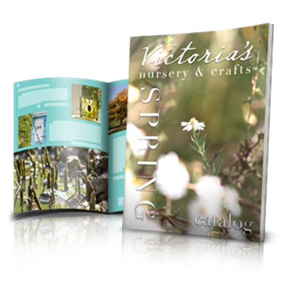 Booklets / Catalogs - Full Color